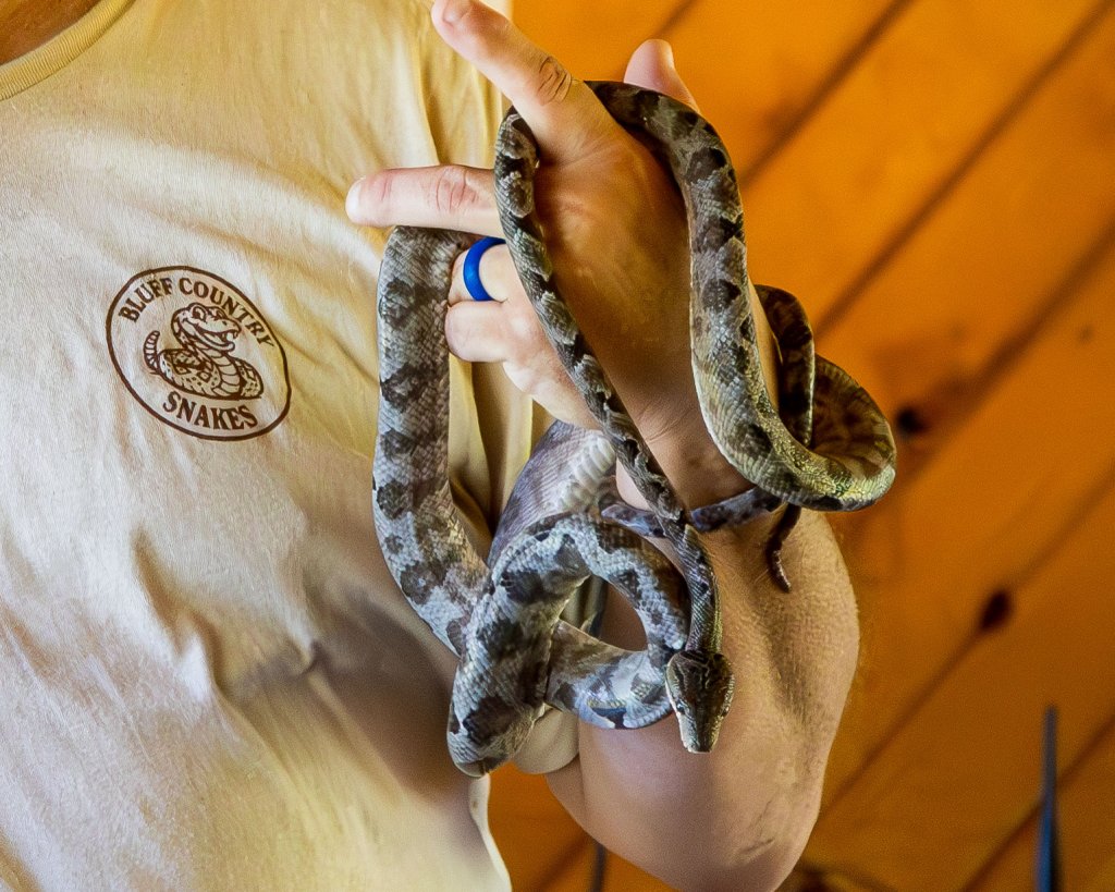 Bluff Country Snakes