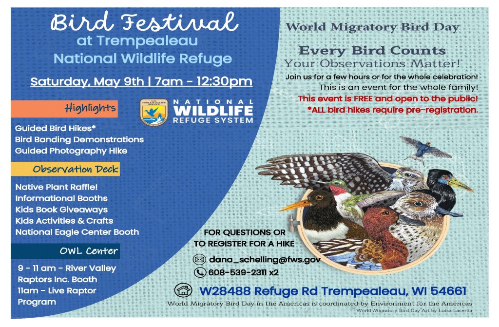World Migratory Bird Day 2026