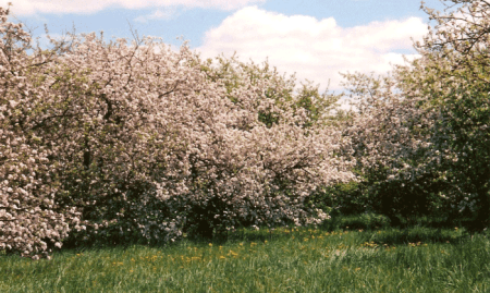 Unearth Hidden Treasures: Exploring the Earth Element in the La Crosse Region