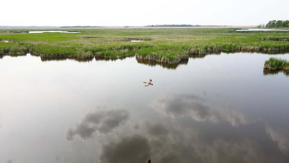 Wisconsin's Free Fun Weekend