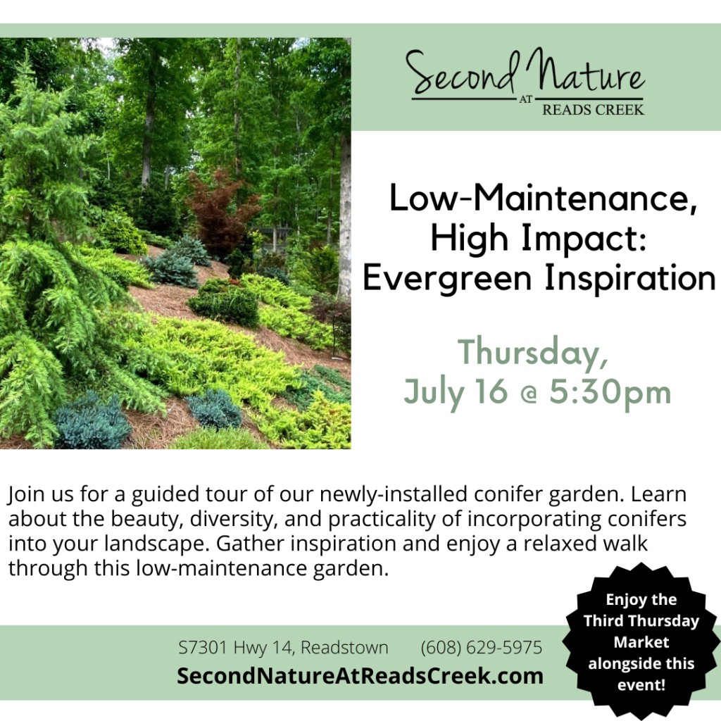 Low-Maintenance, High Impact: Evergreen Inspiration Tour