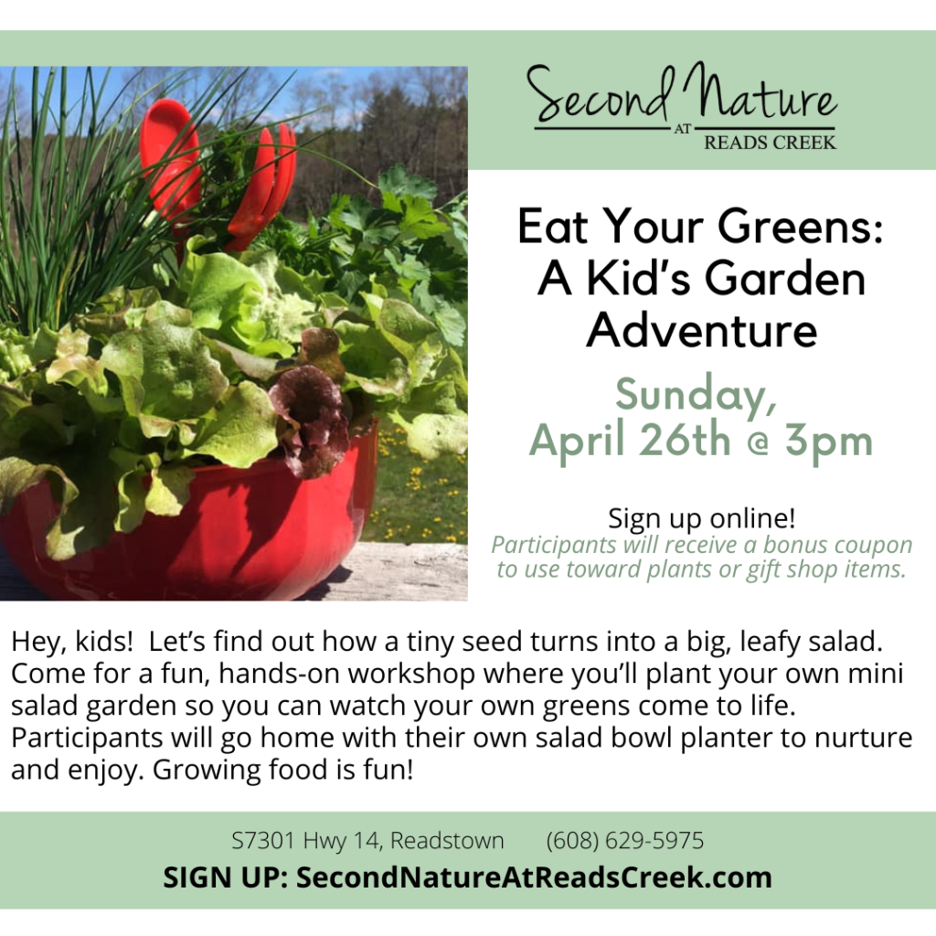 Eat Your Greens: A Kid’s Garden Adventure!
