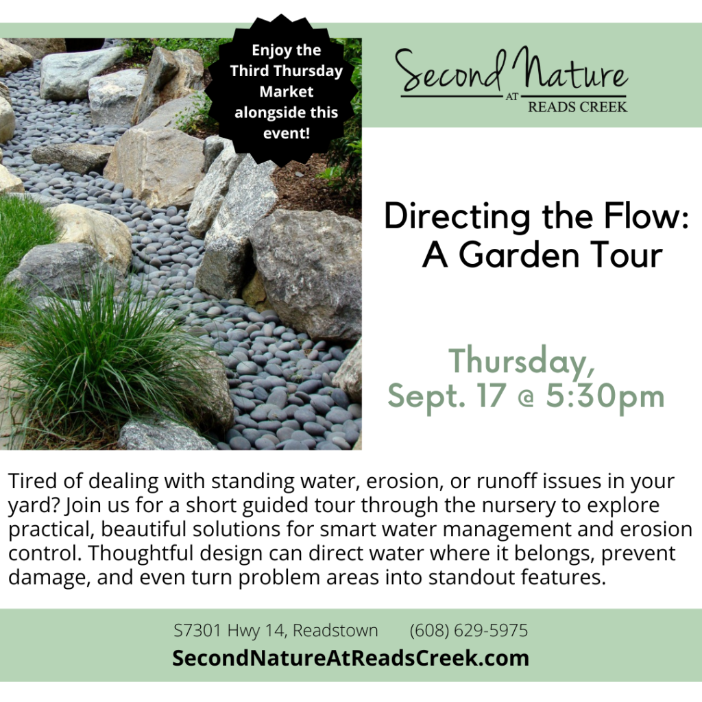 Directing the Flow: A Garden Tour