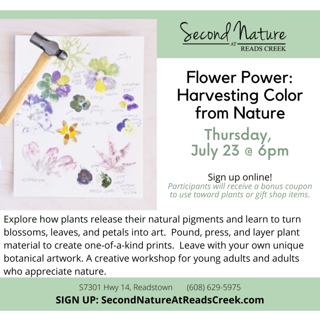 Flower Power: Harvesting Color from Nature