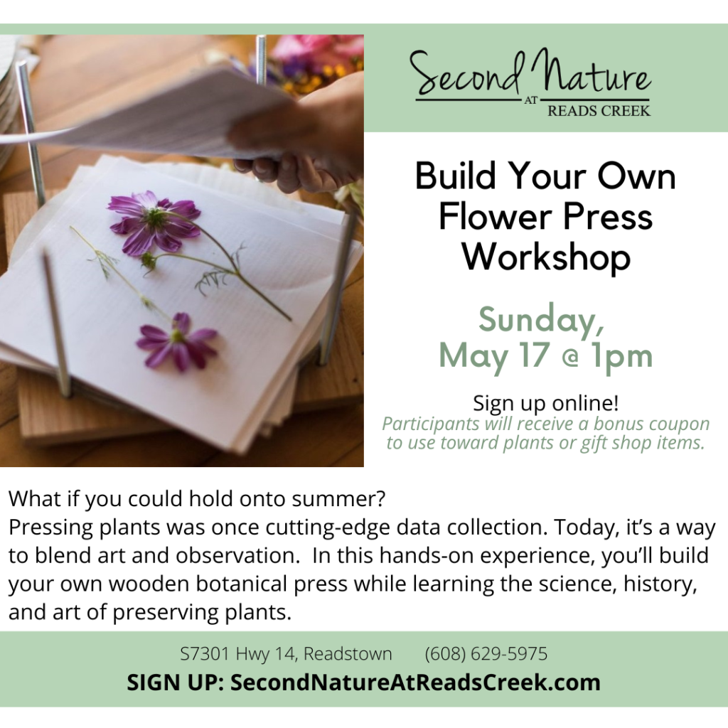 Build Your Own Flower Press Workshop