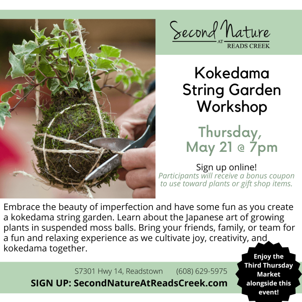Kokedama String Garden Workshop: Embracing the Art of Imperfection