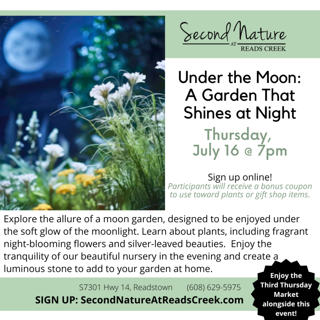 Under the Moon: A Garden That Shines at Night