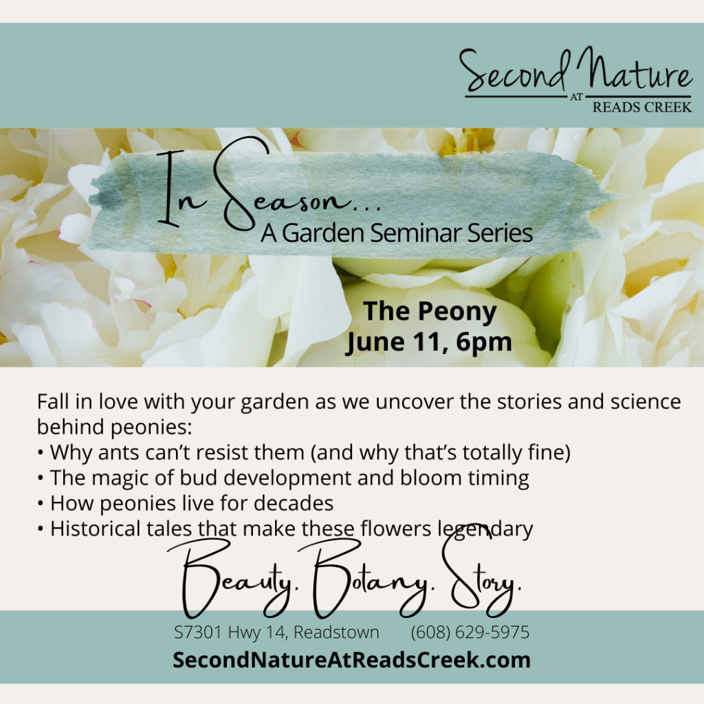 The Secret Life of Peonies
