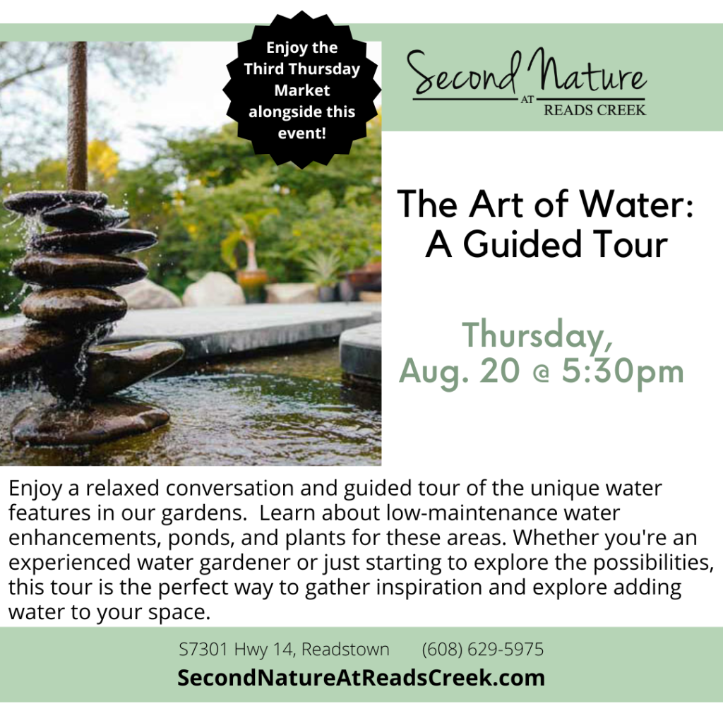 The Art of Water: A Guided Tour