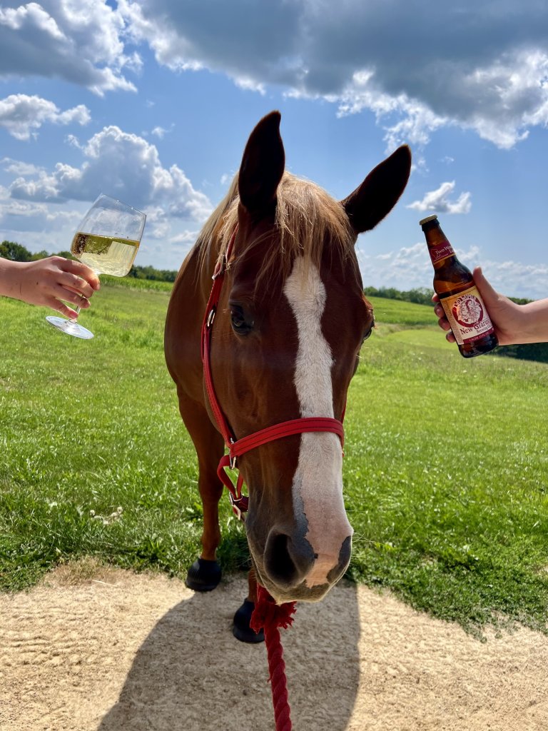 Ponies, Pinots, & Pilsners