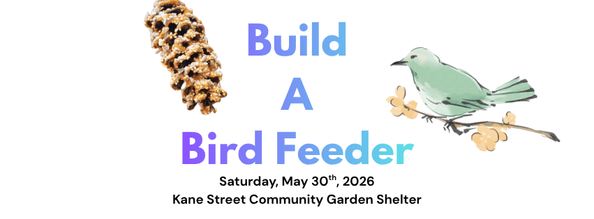 Build A Bird Feeder