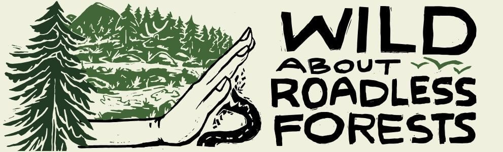 Public Town Hall: The future of our wild Roadless forests