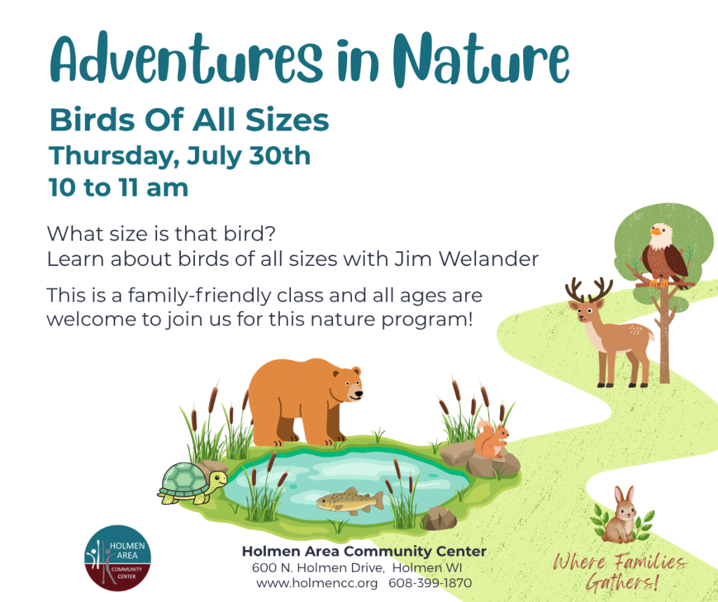 Birds Of All Sizes