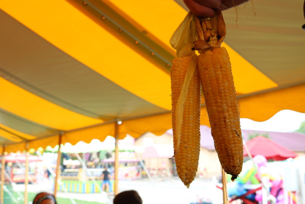 Corn at Kornfest