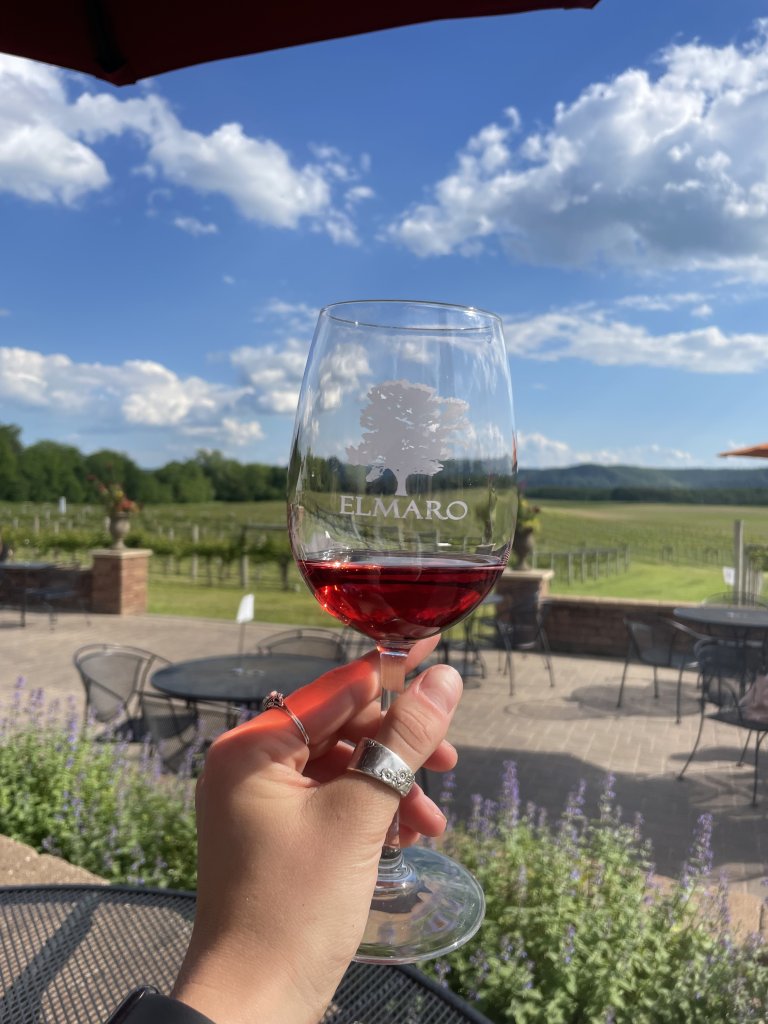 Elmaro wine in a wine glass facing the vineyard