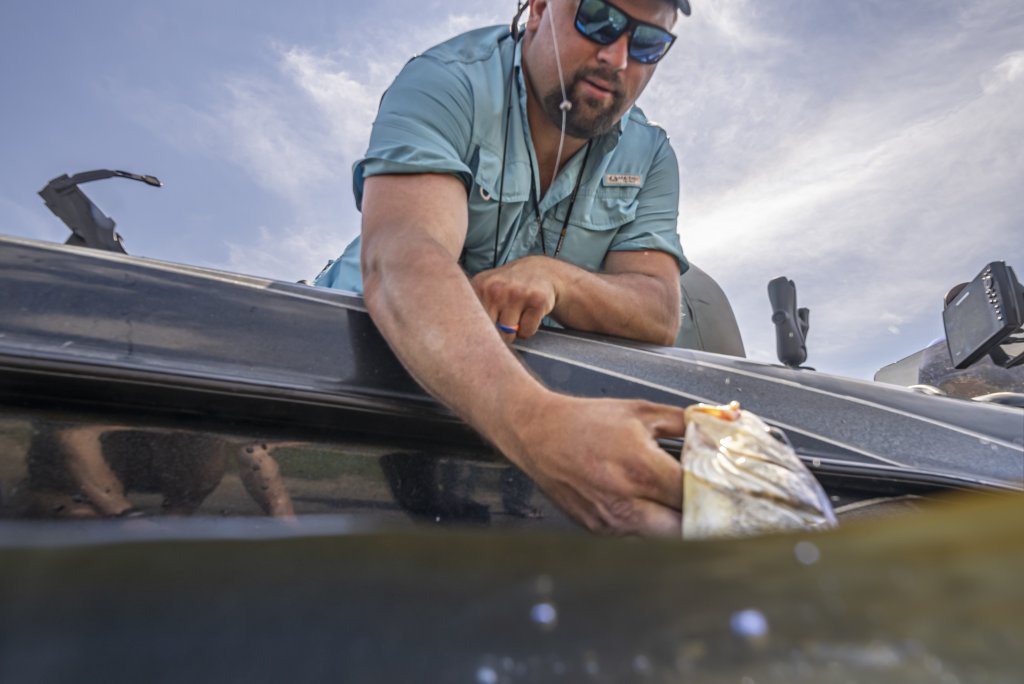 Fishing Resources for the La Crosse Region