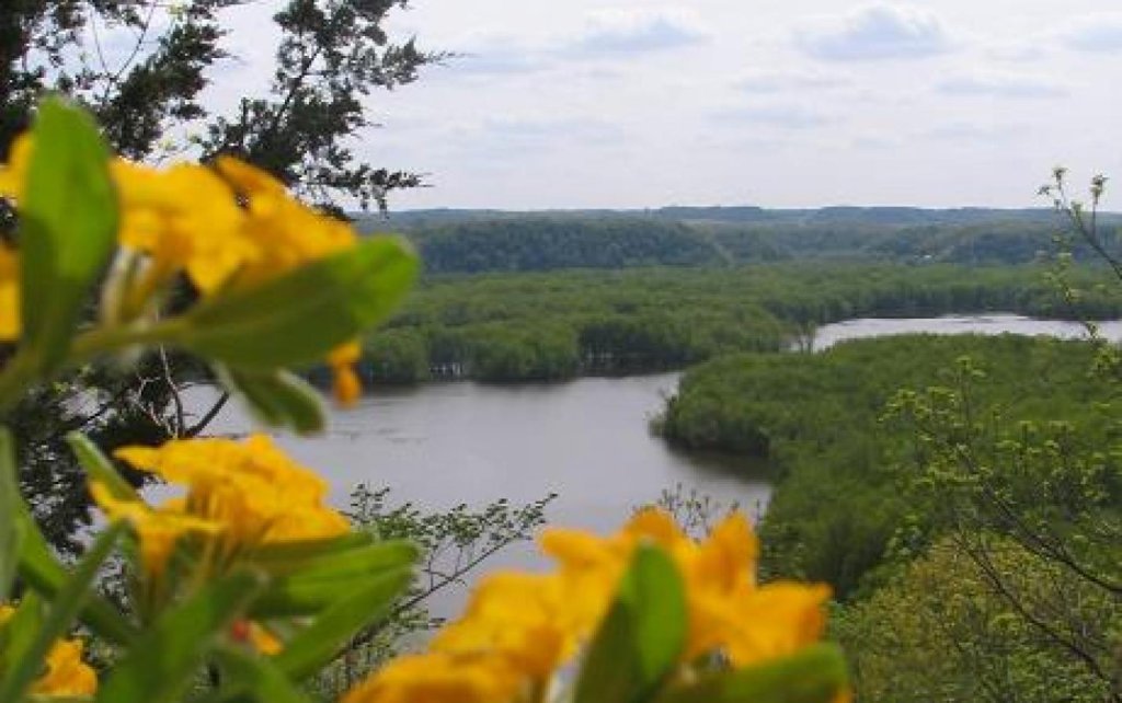Hands-on volunteer opportunity in Grant County