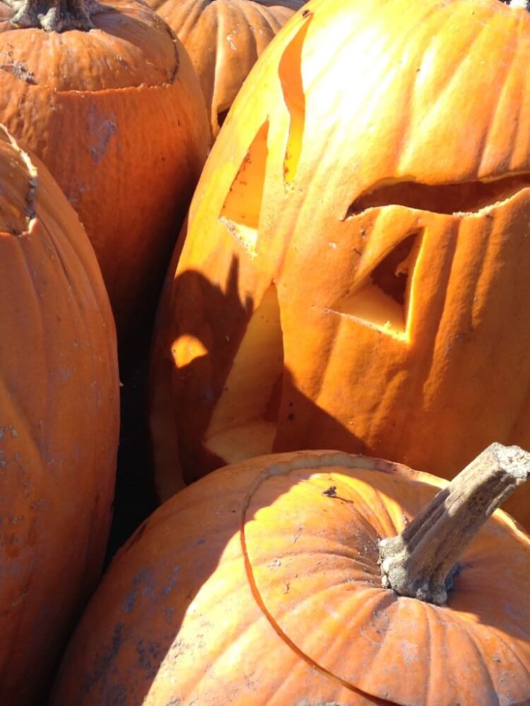 Pumpkin Carving