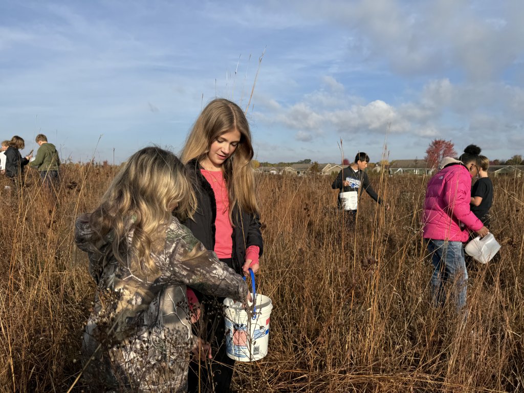 Volunteer Seed Collection Day