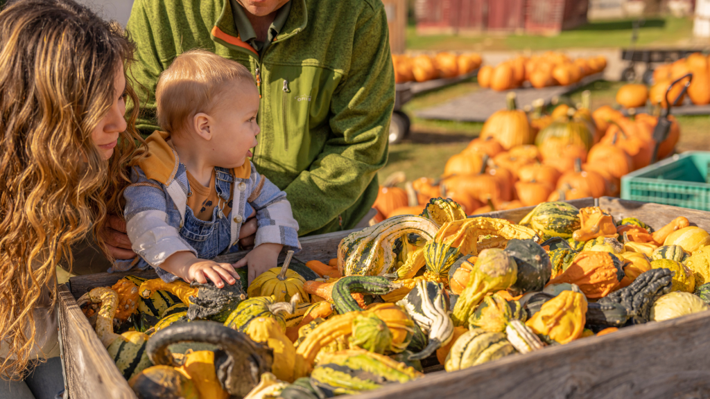 family picking gourds at hidden trails