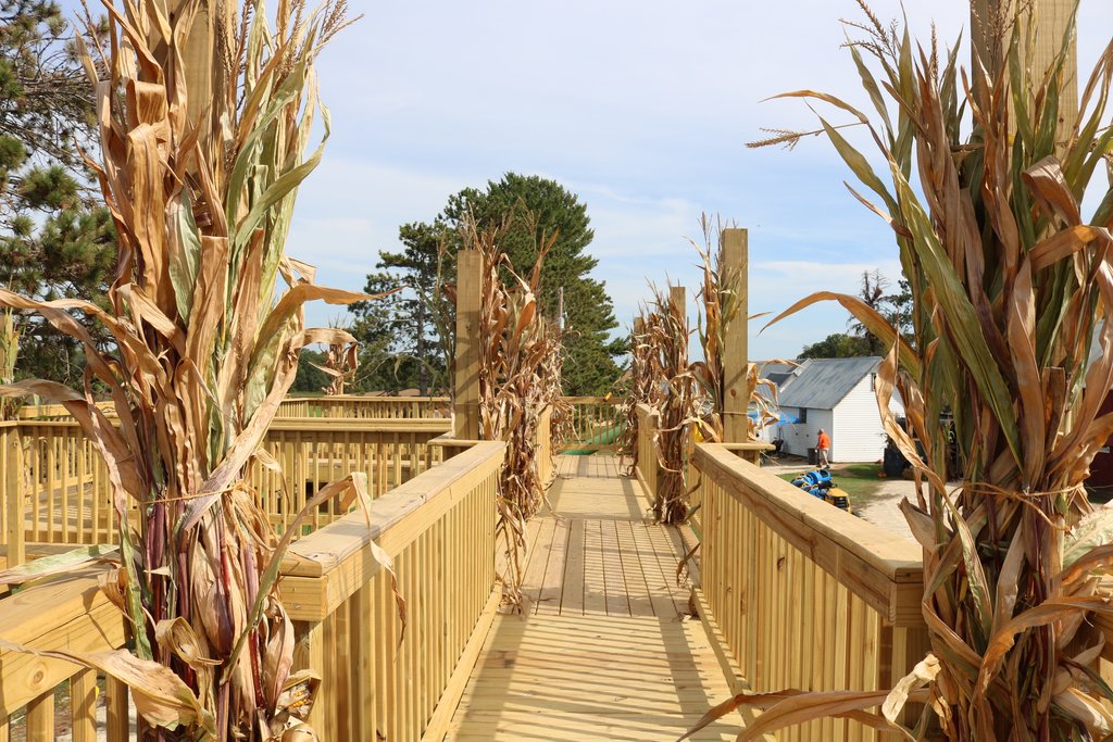 Fall Fun at Pumpkin Hill