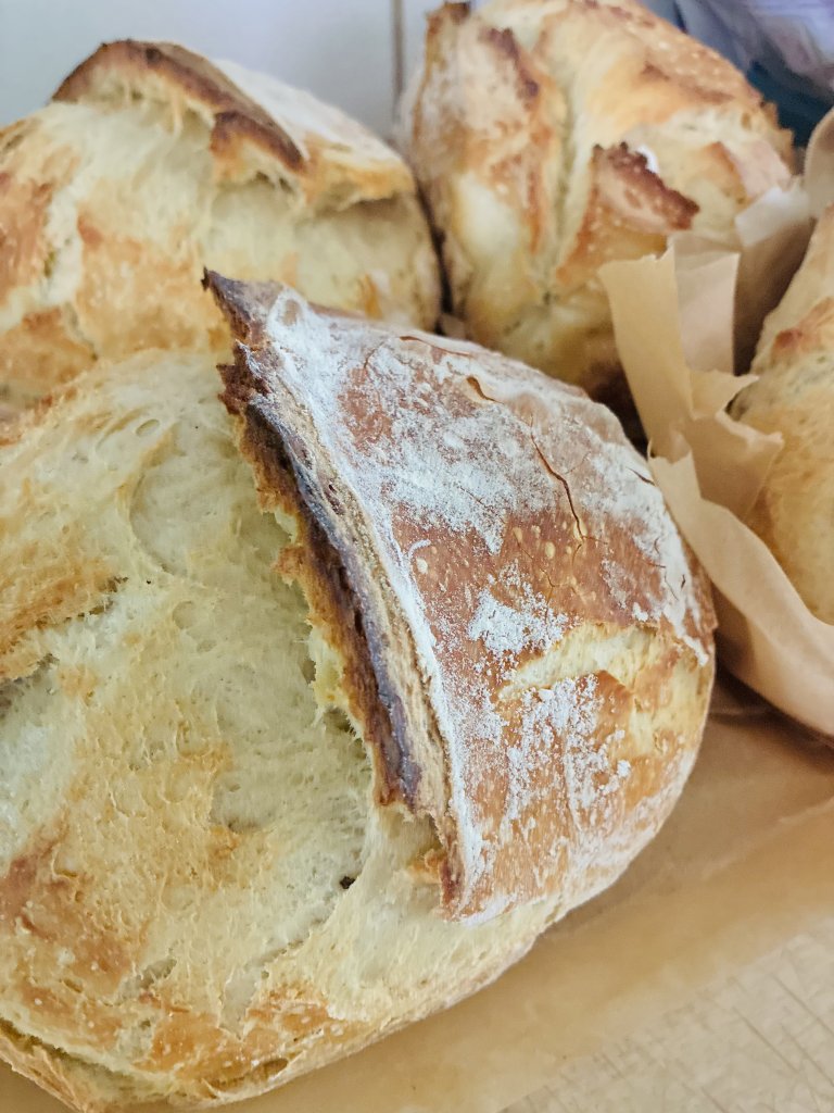 Sourdough Basics & Beyond