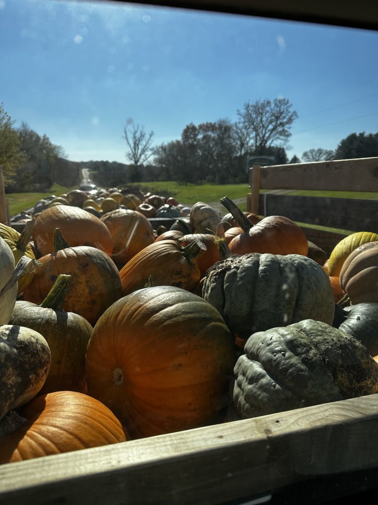 Pumpkin Roll & Halloween Fun