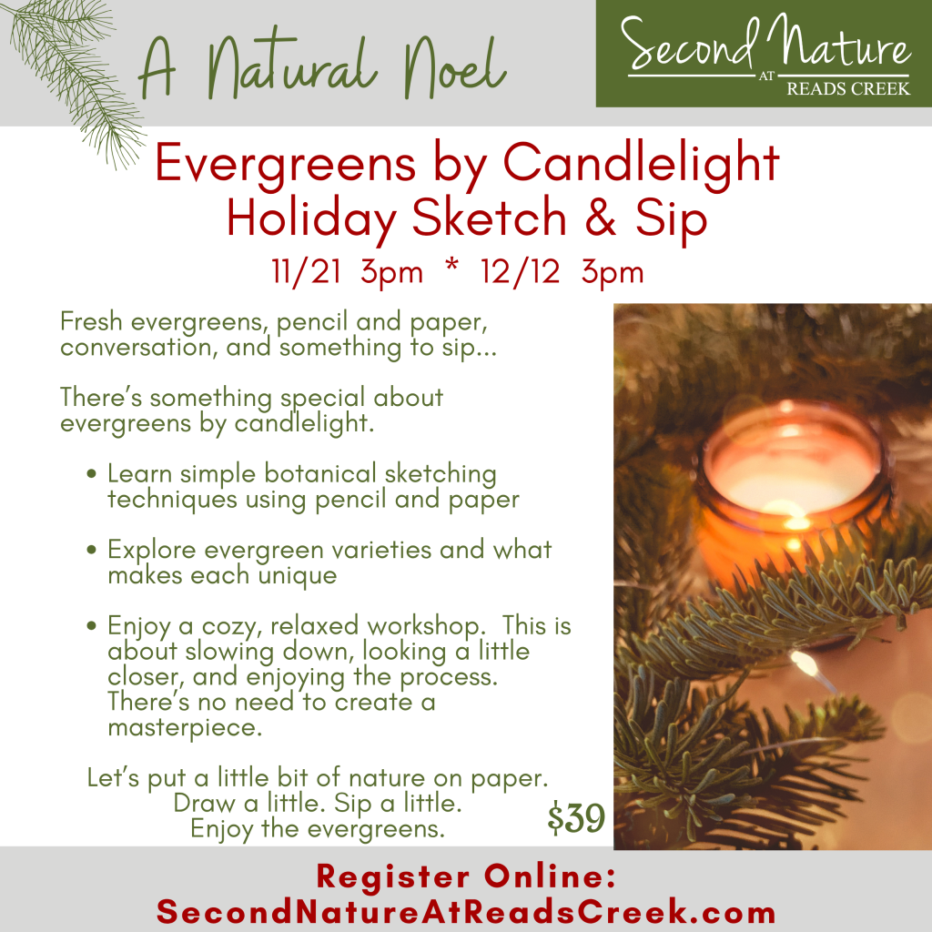 Evergreens by Candlelight Holiday Sketch & Sip
