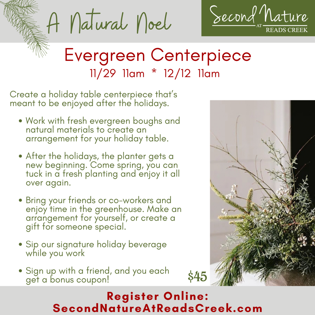 Evergreen Centerpiece