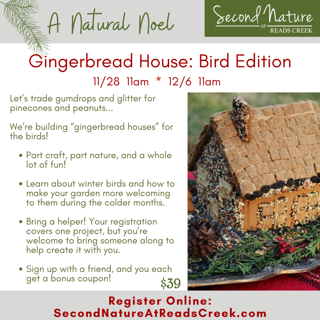 Gingerbread House: Bird Edition