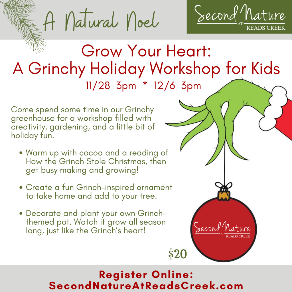 Grow Your Heart: A Grinchy Holiday Workshop for Kids