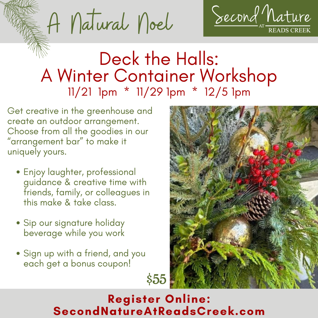 Deck the Halls: A Winter Container Workshop