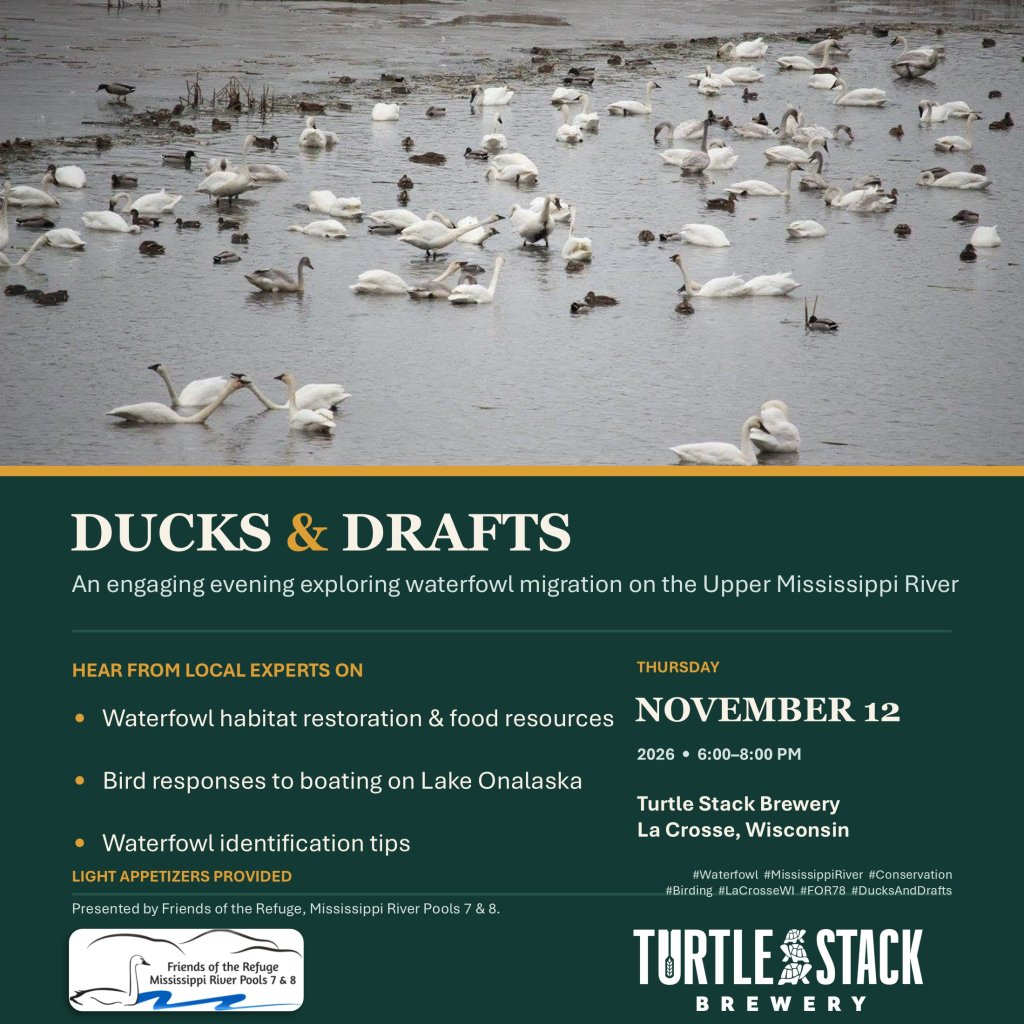 Ducks & Drafts