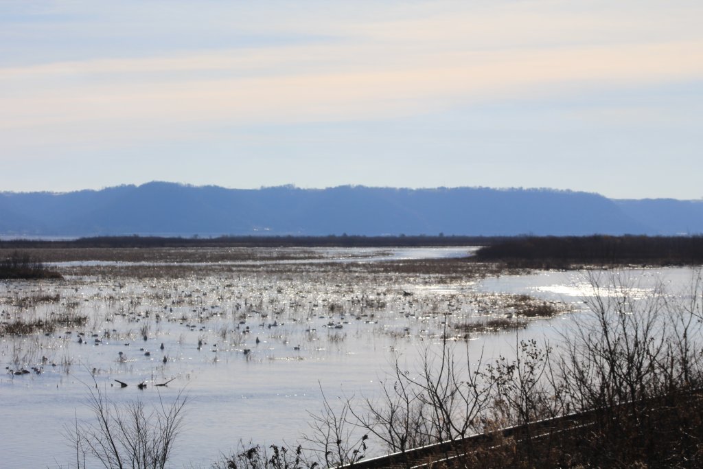 Naturalist at the Brownsville Overlook