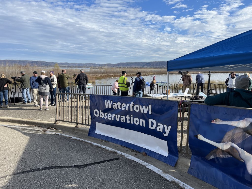 Waterfowl Observation Day