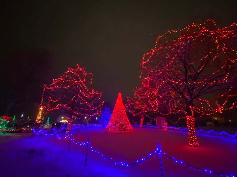 Rotary Lights Parade
