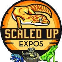 Scaled Up Expos